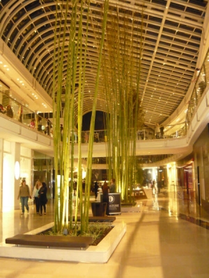 Xenian Lighting Chadstone Shopping Centre