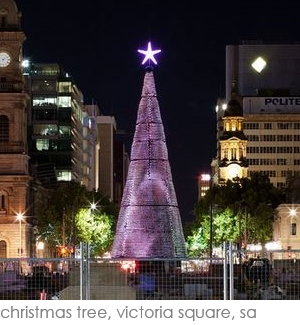 christmas tree, victoria square, adelaide
