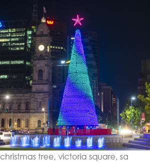 Christmas Tree Victoria Square Adelaide