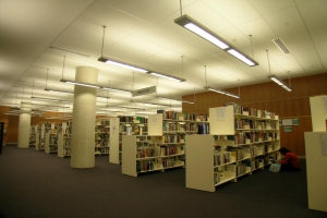 Xenian Lighting Blacktown Library