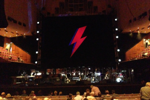 David Bowie Tribute Concert, SOH